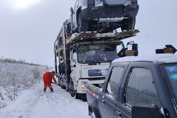 女人与公狍交酡女免费