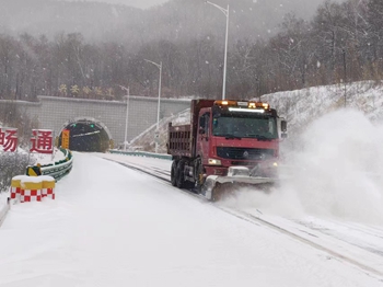 女人与公狍交酡女免费