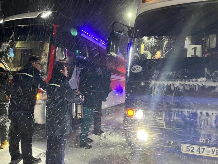 女人与公狍交酡女免费