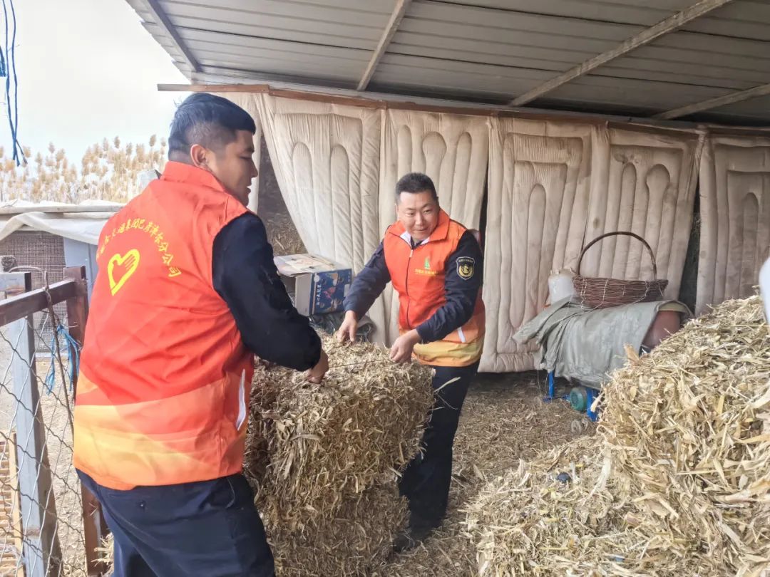 女人与公狍交酡女免费