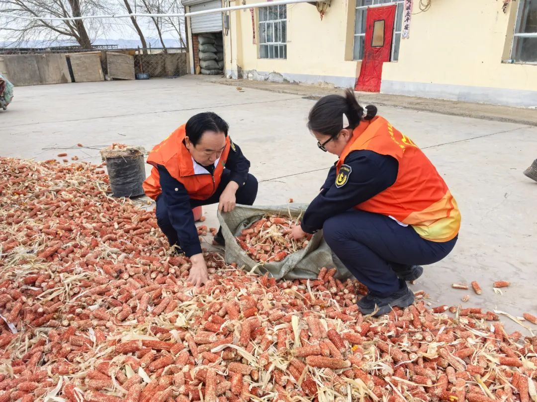 女人与公狍交酡女免费