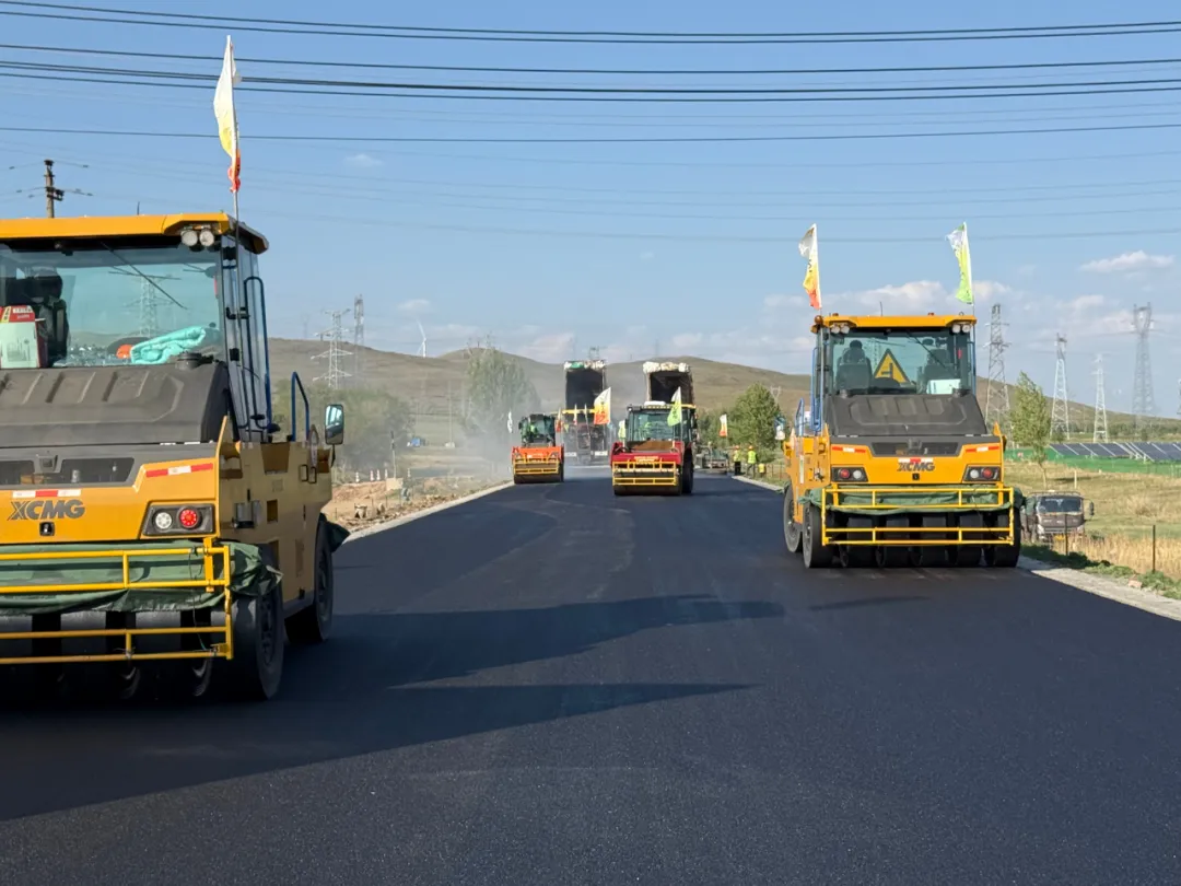 女人与公狍交酡女免费