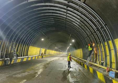 女人与公狍交酡女免费