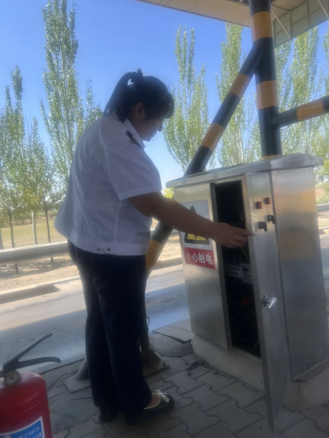 女人与公狍交酡女免费