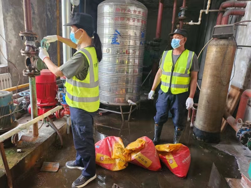 女人与公狍交酡女免费