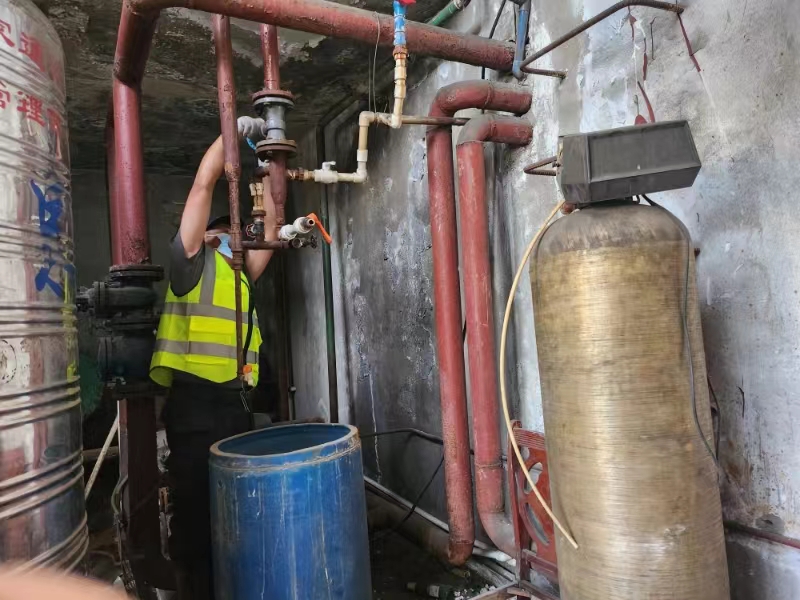 女人与公狍交酡女免费