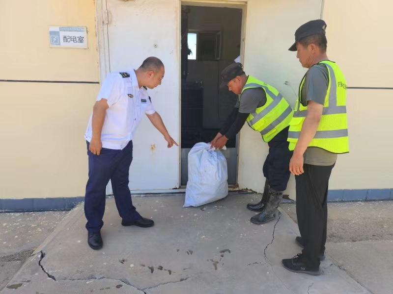 女人与公狍交酡女免费