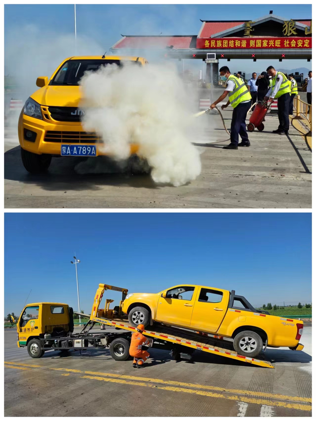 女人与公狍交酡女免费