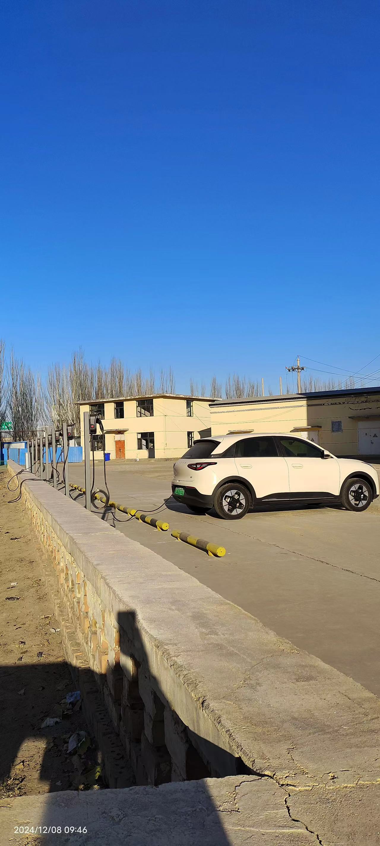 女人与公狍交酡女免费