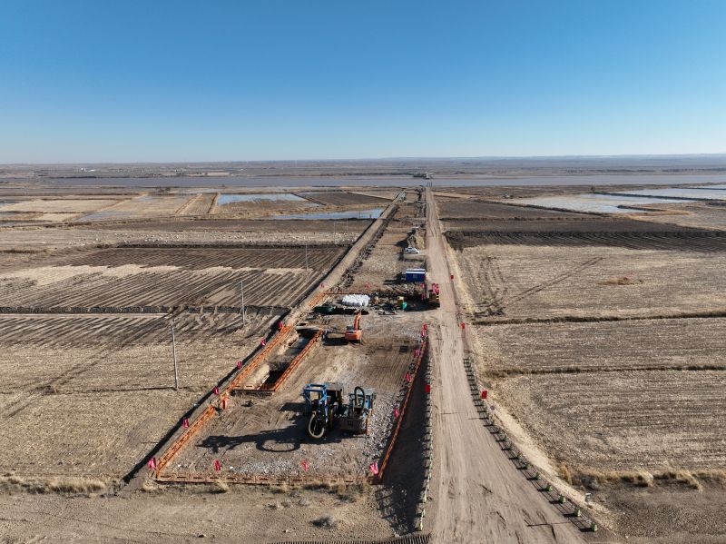 女人与公狍交酡女免费