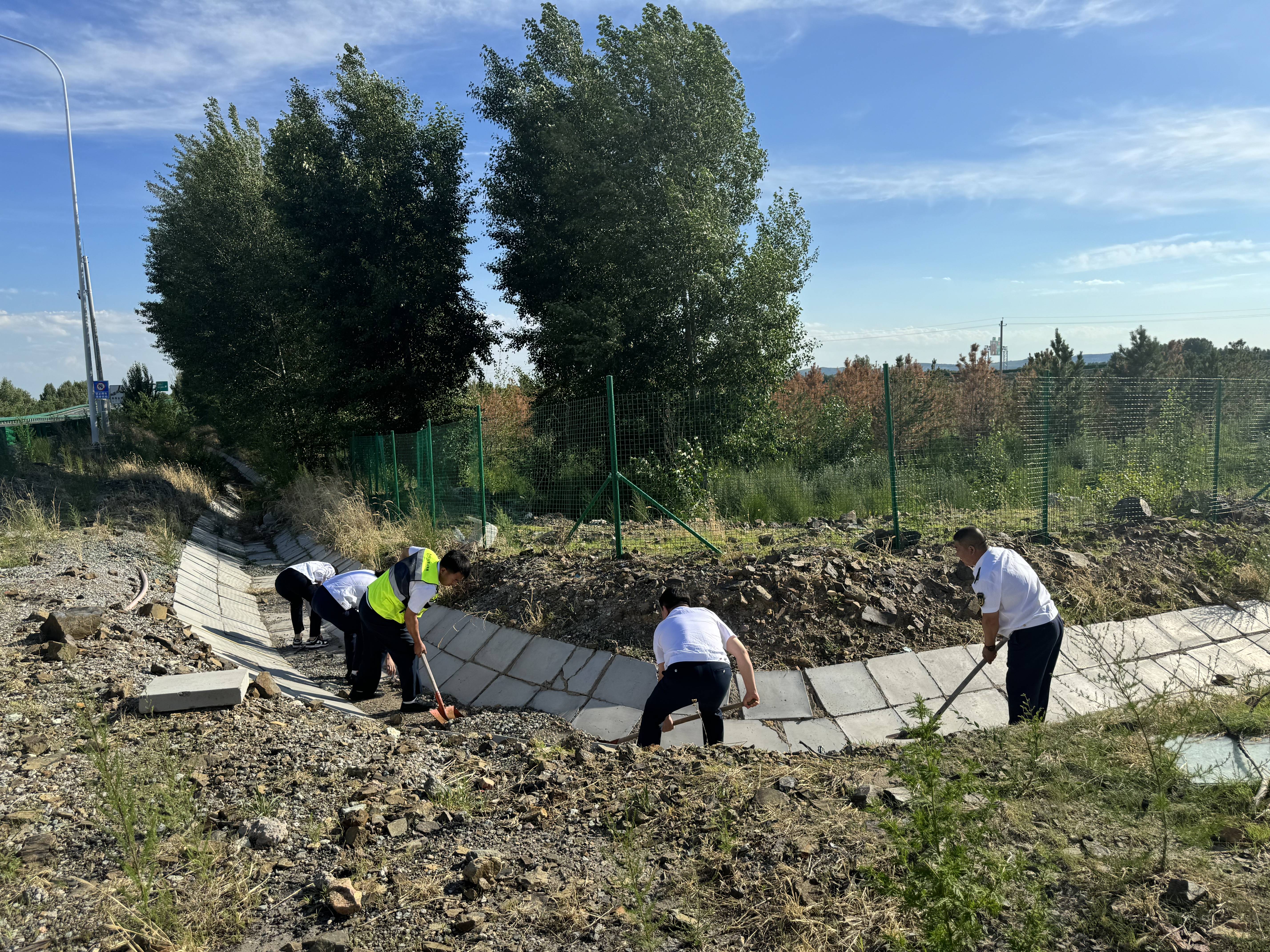 女人与公狍交酡女免费
