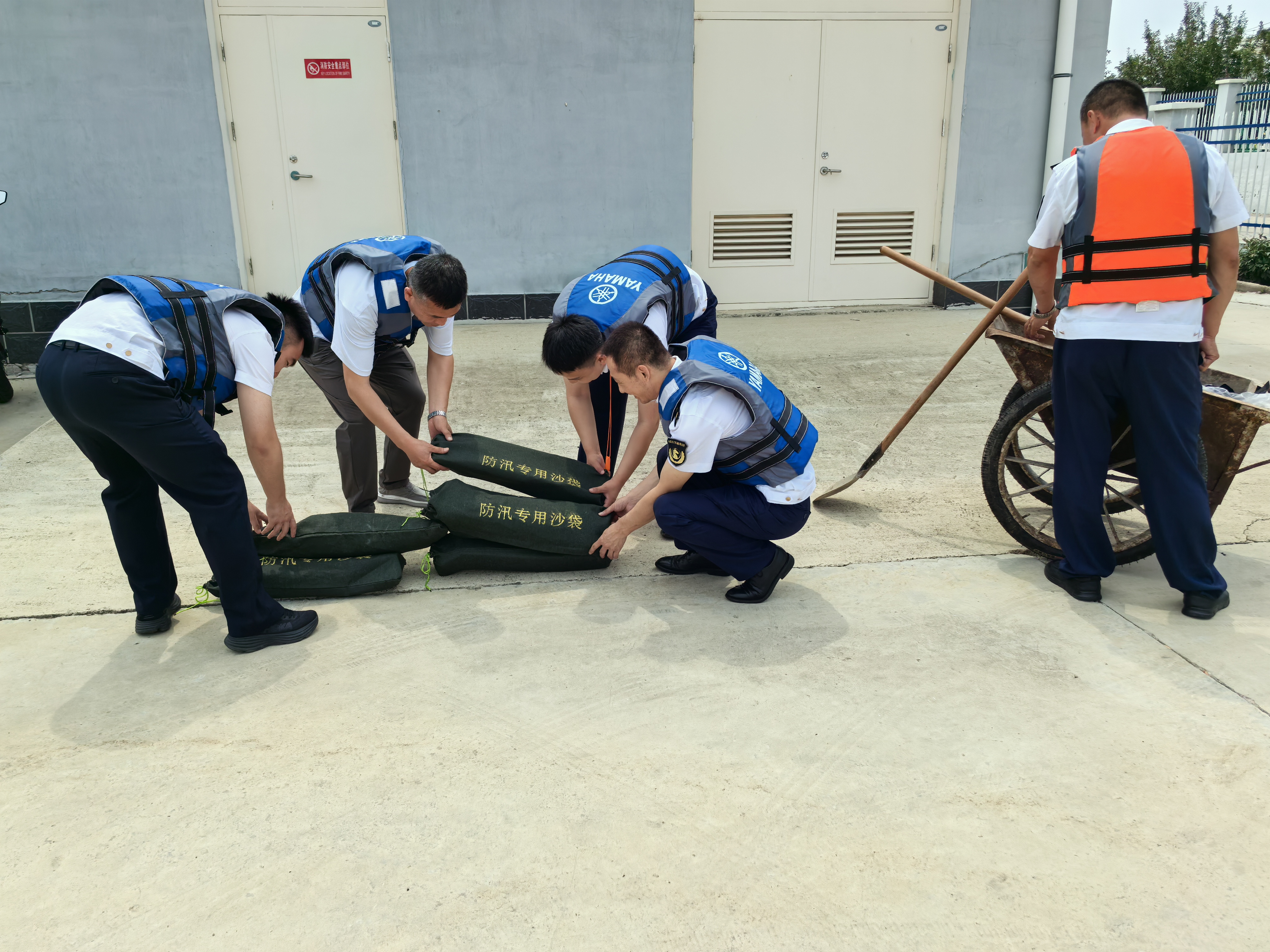 女人与公狍交酡女免费