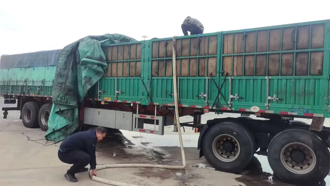 女人与公狍交酡女免费