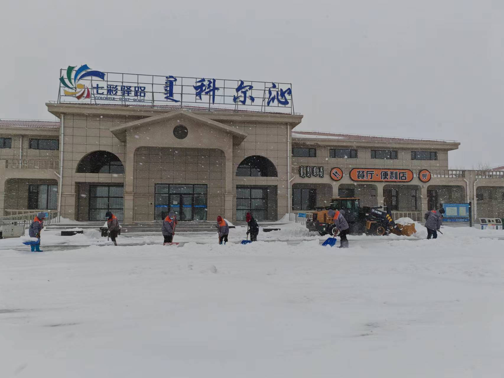 女人与公狍交酡女免费