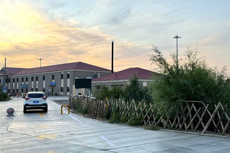 女人与公狍交酡女免费