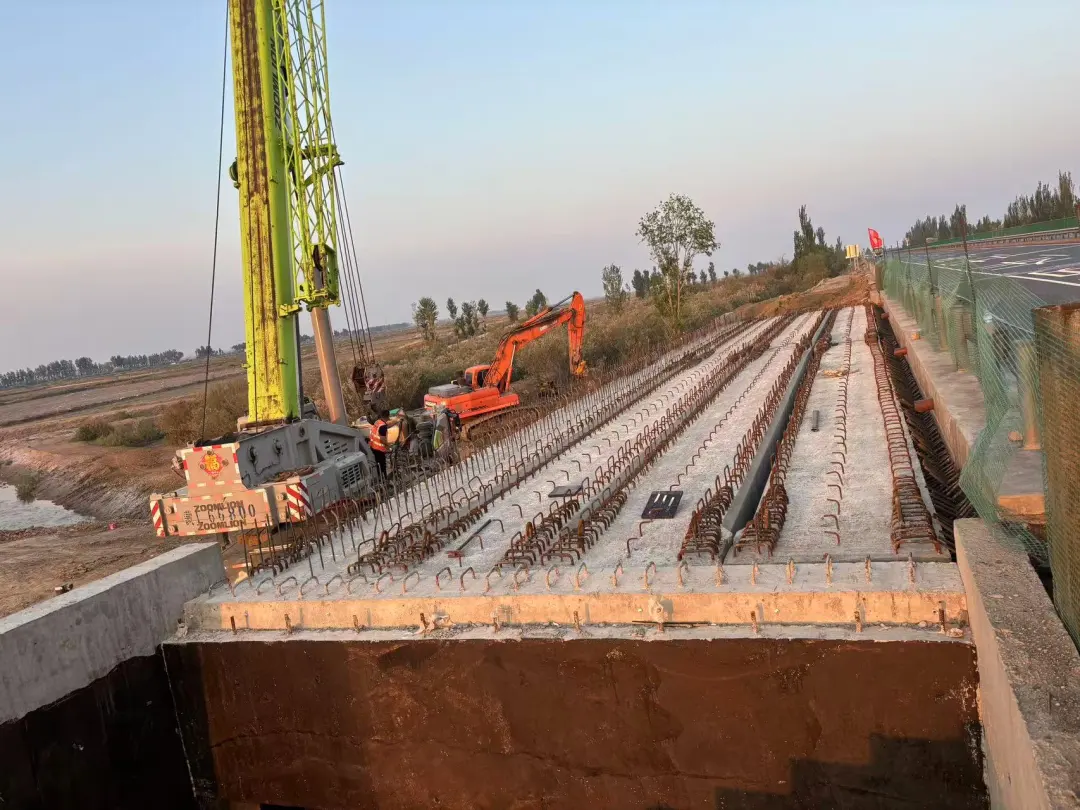 女人与公狍交酡女免费