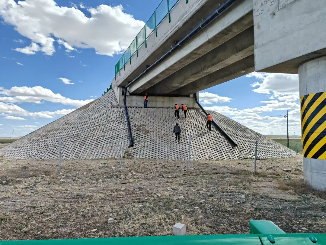 女人与公狍交酡女免费