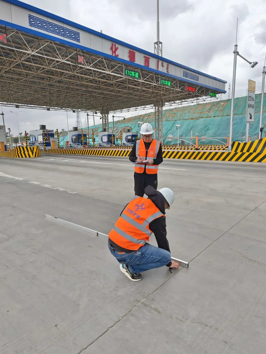 女人与公狍交酡女免费