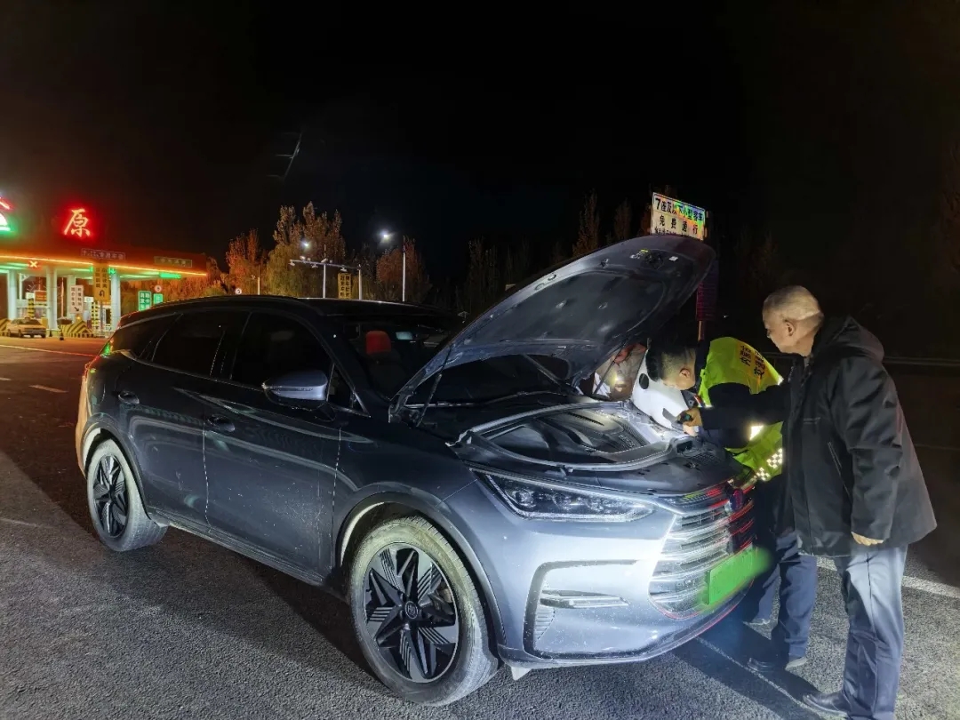 女人与公狍交酡女免费