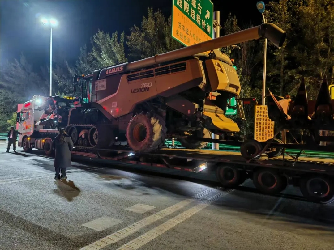 女人与公狍交酡女免费