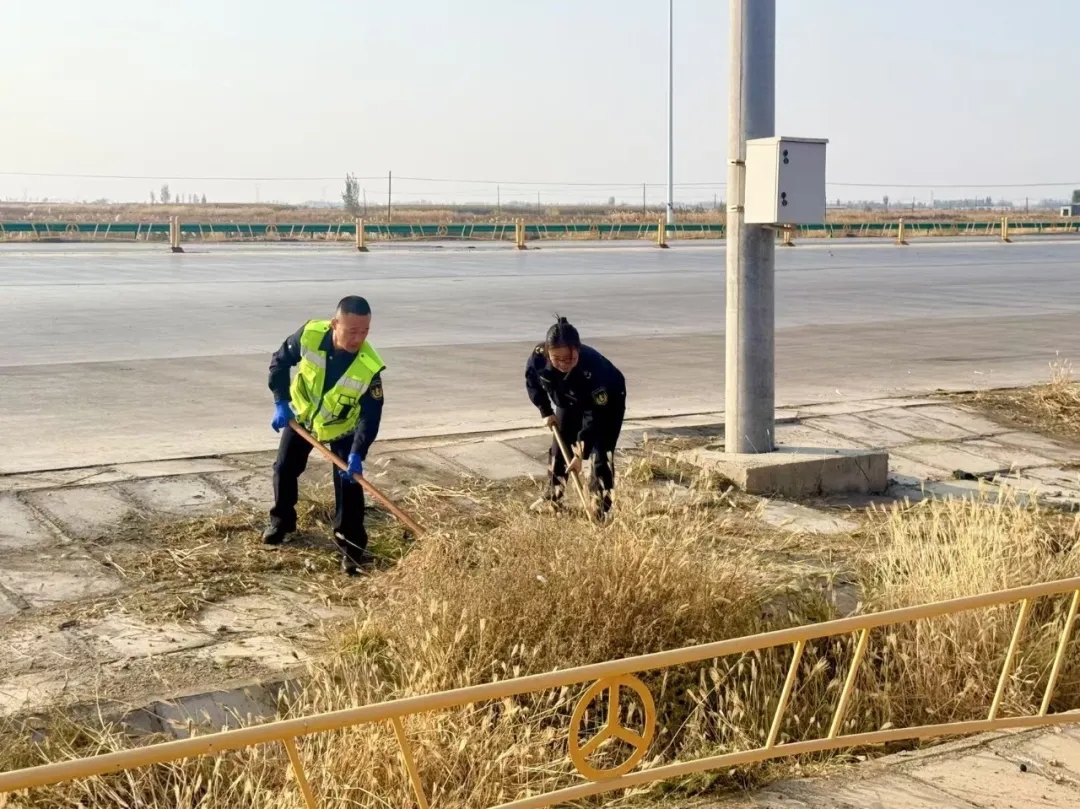 女人与公狍交酡女免费