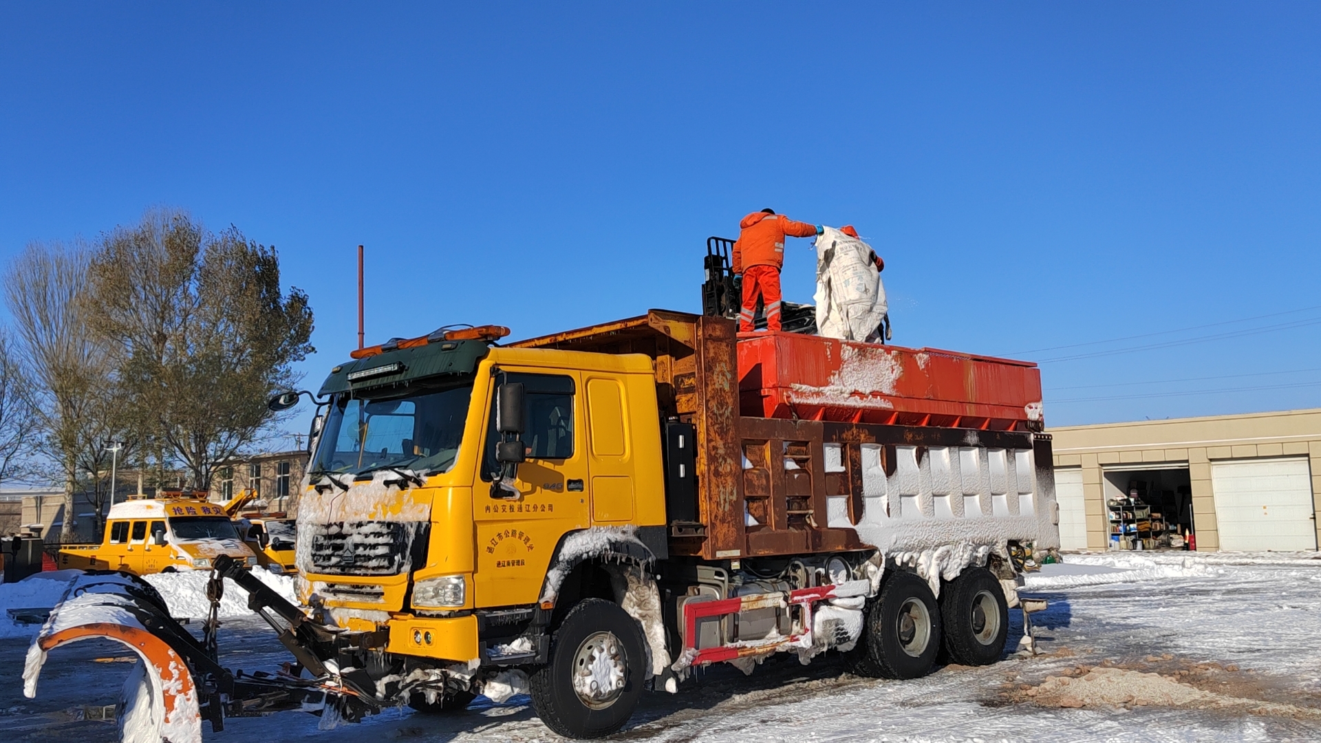 女人与公狍交酡女免费