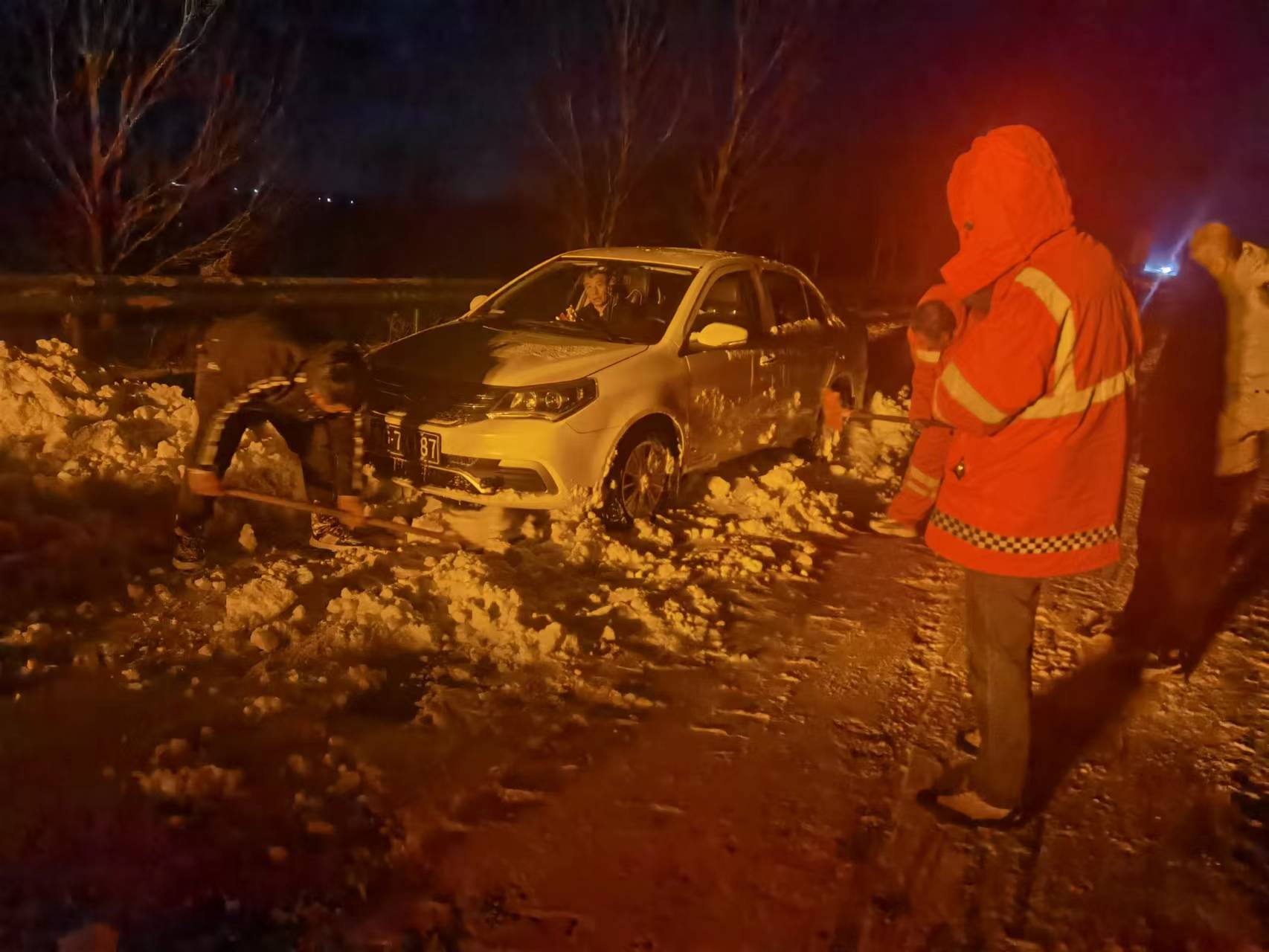 女人与公狍交酡女免费