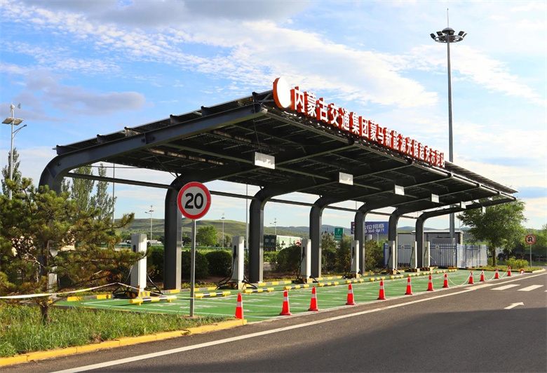 女人与公狍交酡女免费