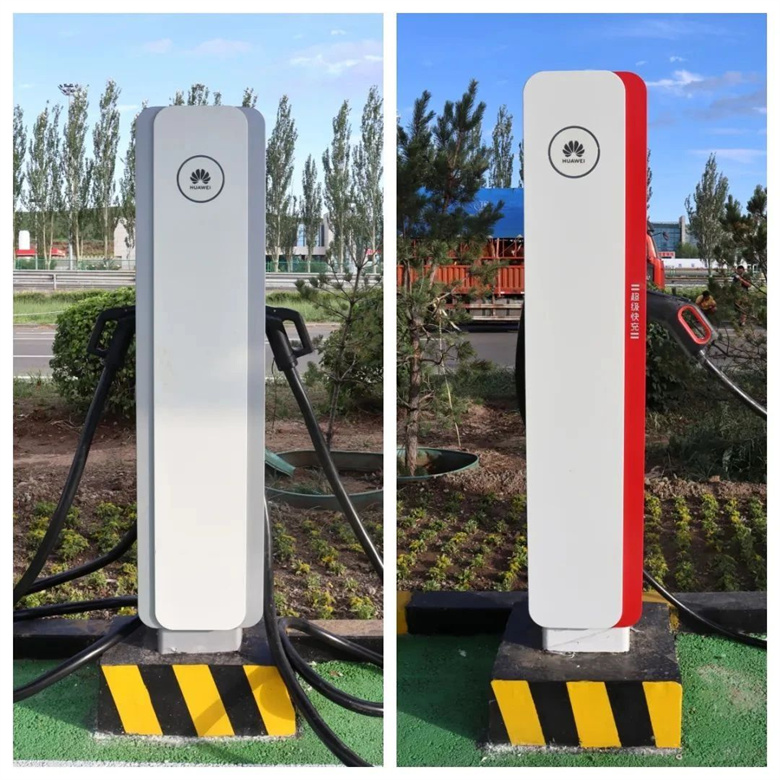 女人与公狍交酡女免费