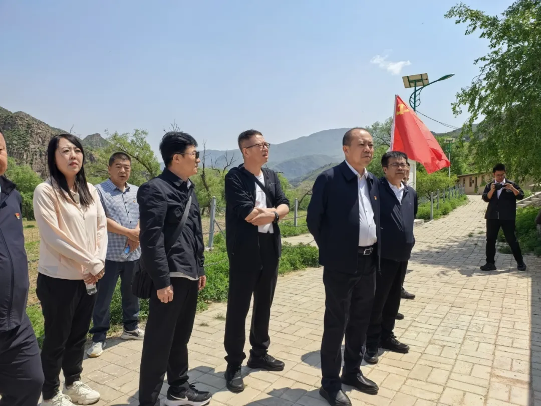 女人与公狍交酡女免费