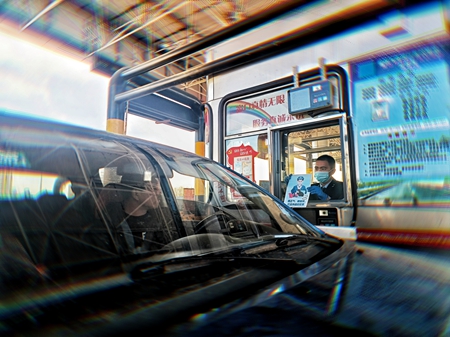 女人与公狍交酡女免费