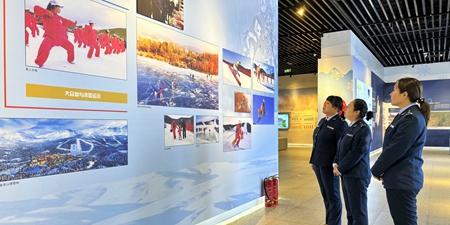 女人与公狍交酡女免费