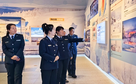 女人与公狍交酡女免费