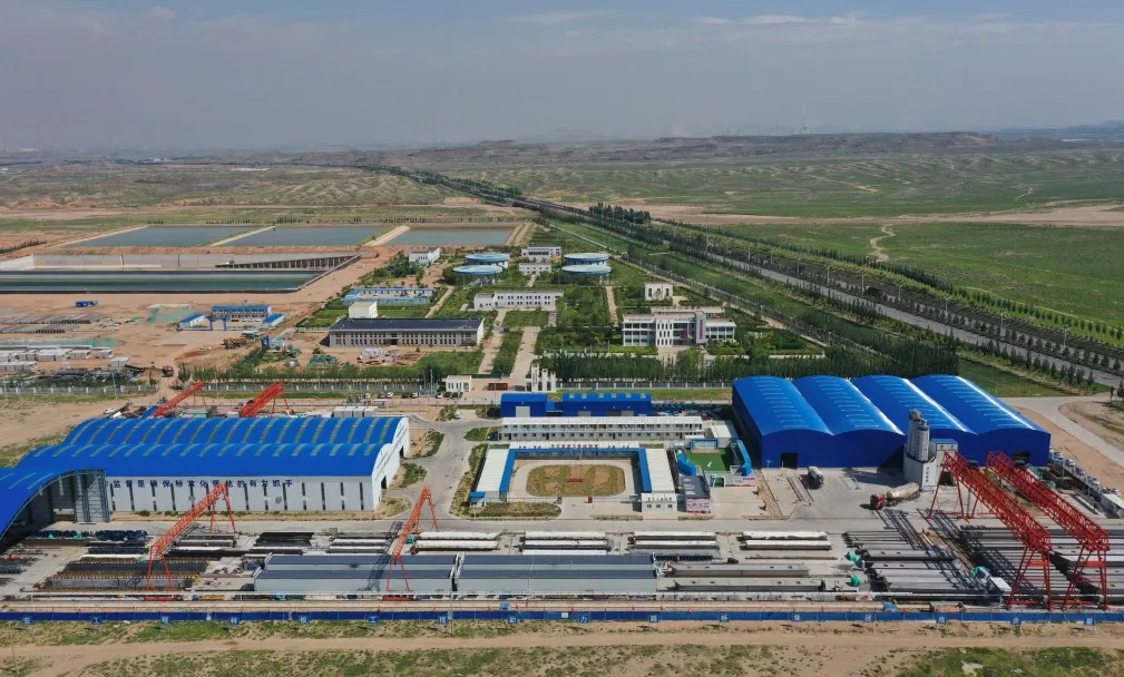 女人与公狍交酡女免费