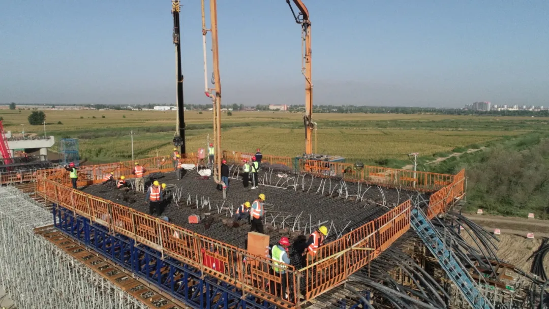 女人与公狍交酡女免费