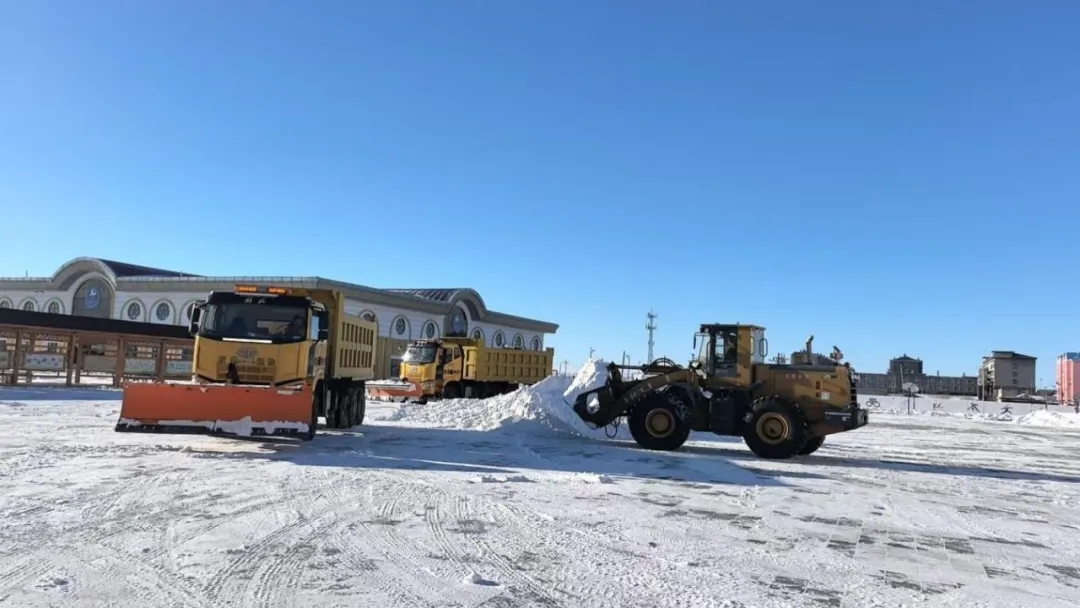 女人与公狍交酡女免费