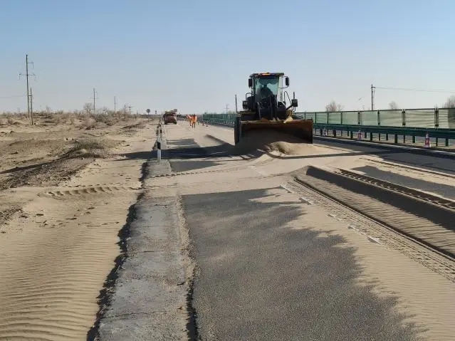 女人与公狍交酡女免费