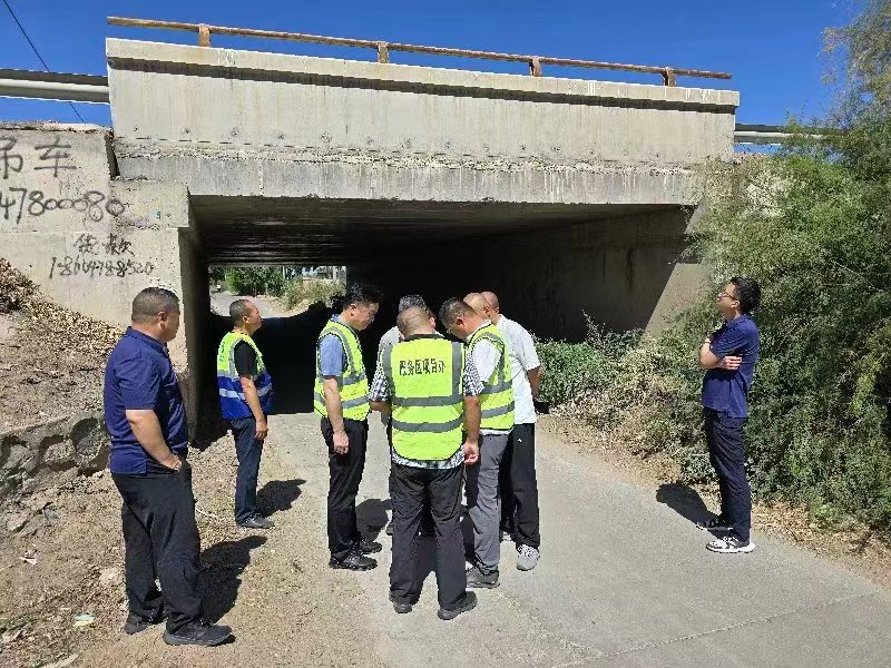 女人与公狍交酡女免费