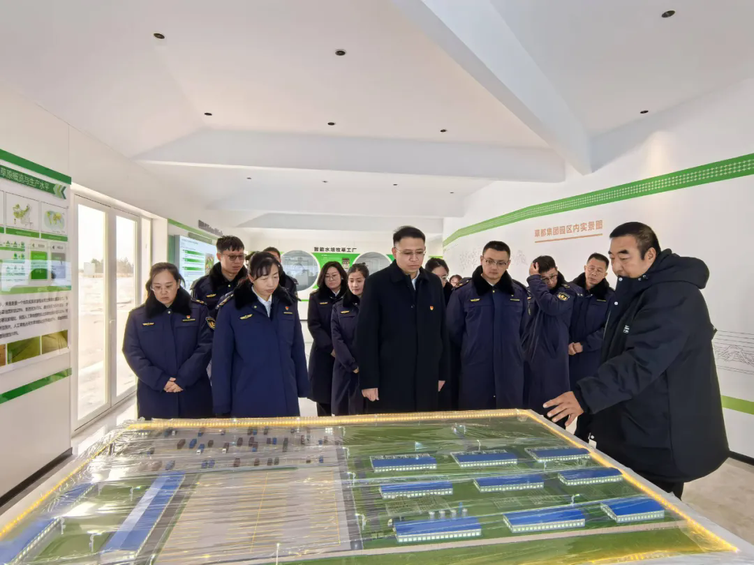 女人与公狍交酡女免费