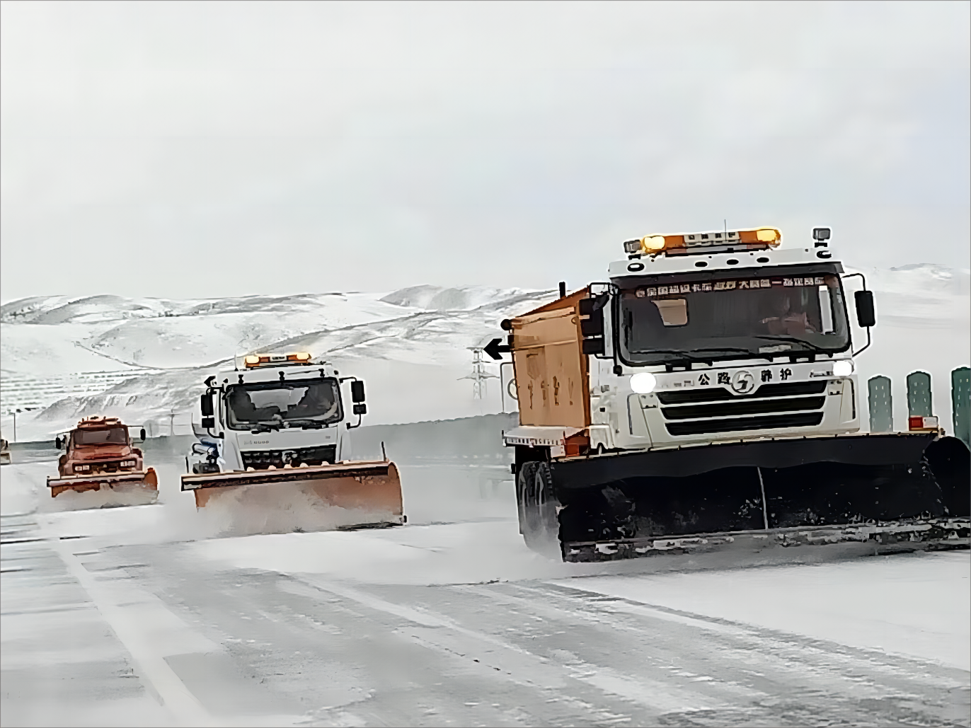 女人与公狍交酡女免费