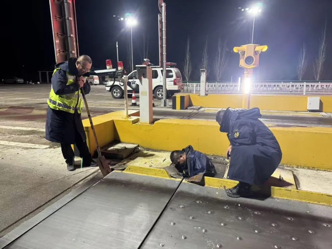 女人与公狍交酡女免费