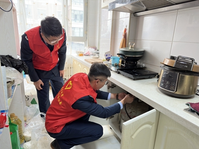 女人与公狍交酡女免费