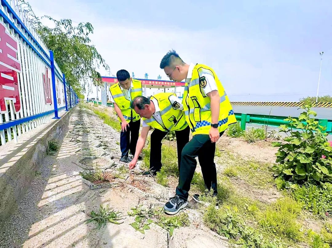 女人与公狍交酡女免费