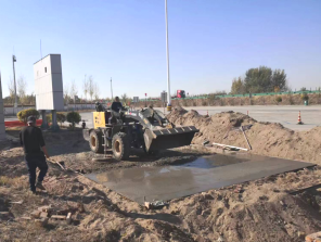 女人与公狍交酡女免费