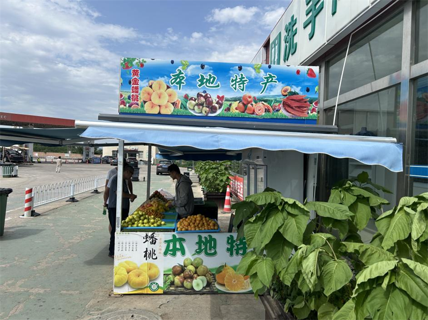 女人与公狍交酡女免费