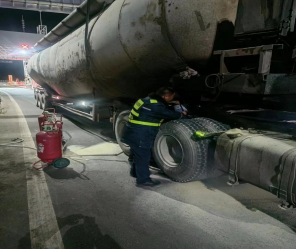 女人与公狍交酡女免费