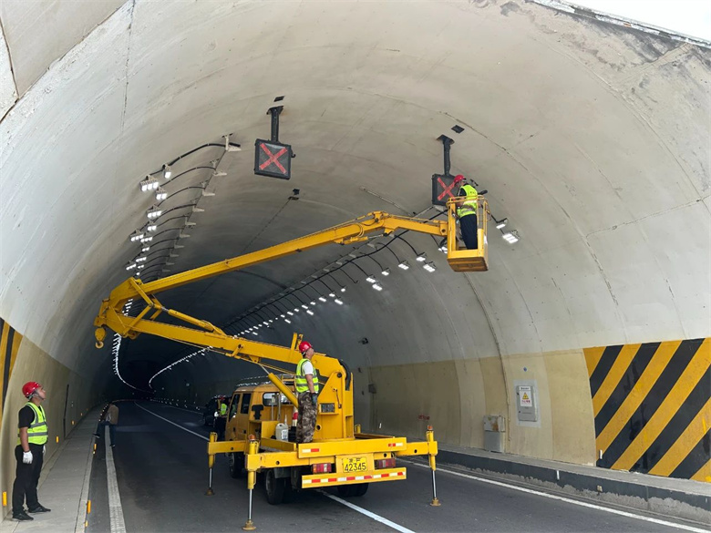 女人与公狍交酡女免费