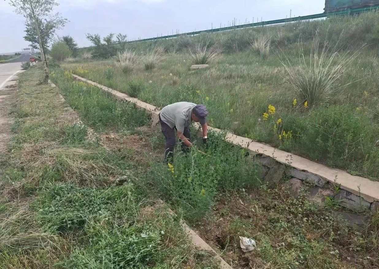女人与公狍交酡女免费