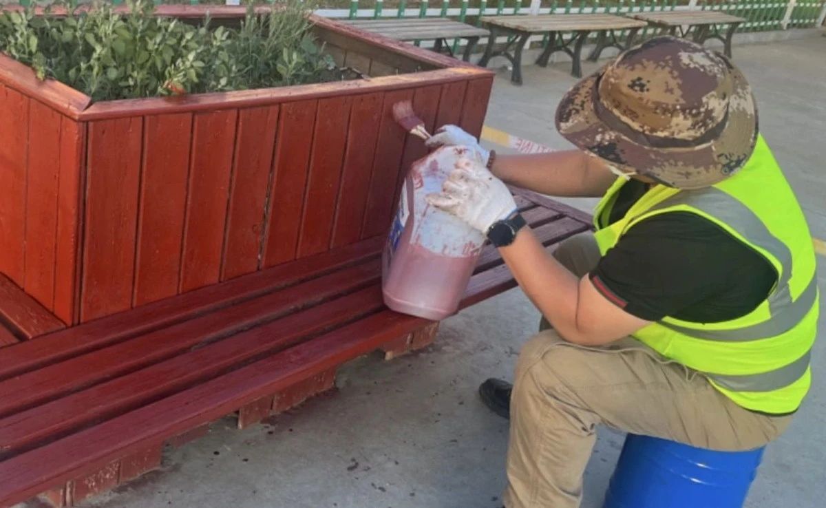 女人与公狍交酡女免费