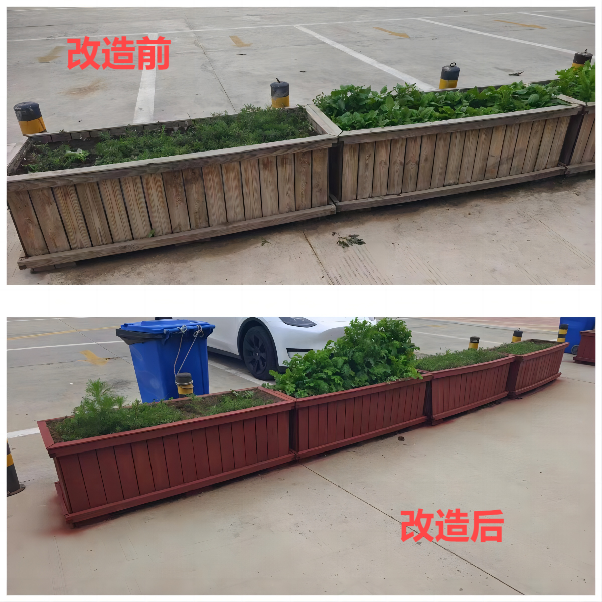 女人与公狍交酡女免费